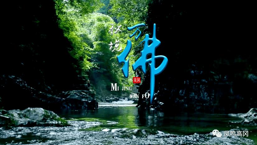 利辛县:美丽村庄画中来
