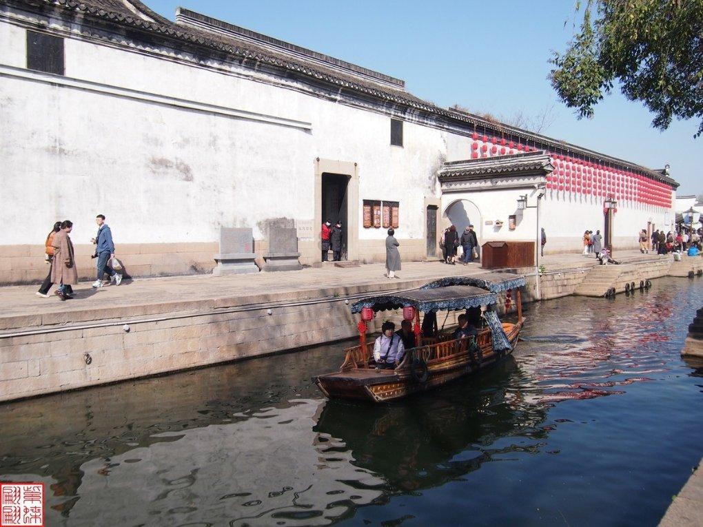 流浪猫狗被救助前后对比,简直脱胎换骨,每一只毛孩子都值得被爱